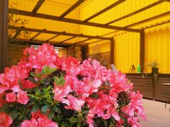 -C·BANNER千百度(奥特莱斯工厂店)