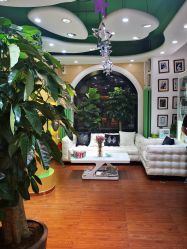 -艺米阳光Hair Salon