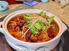 -先机泉水鸡汤(南山老君洞店)