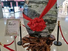 -沈阳HAI乐园