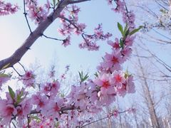 -白塘生态植物园
