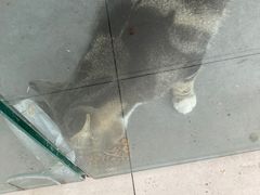 -重庆麻辣烫(国权路店)