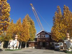 -永定河休闲森林公园