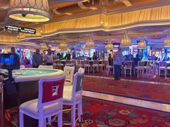 -拉斯维加斯永利酒店