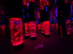 -成都浩海立方海洋公园