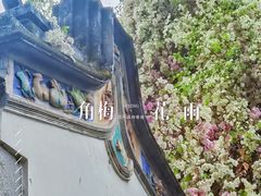 -深圳国际园林花卉博览园