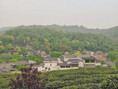 -龙井村