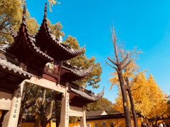 -西园戒幢律寺