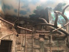 -石家庄市动物园