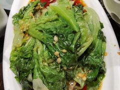 豉油生菜-肥猫(义乌万达店)