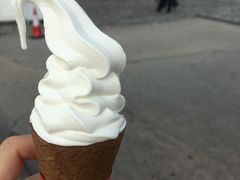 -富豪雪糕车流动点(尖沙咀店)