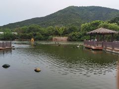 -无锡动物园·太湖欢乐园