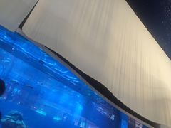 -迪拜水族馆及水下动物园