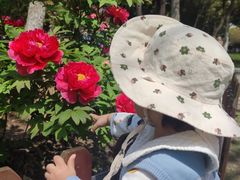 -江南大学(蠡湖校区)