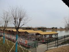 -泗洪洪泽湖湿地景区