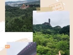 -磬锤峰森林公园