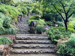 -苏州上方山国家森林公园