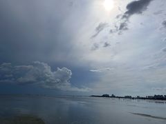 -红树林天天赶海