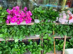 -亭亭鲜花店(中山北路店)