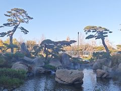 -罗红摄影艺术馆