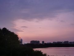 -海珠湖公园