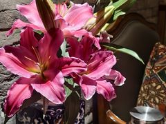 -瑶王府·广西菜(金阳路店)