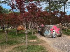 -广州市帽峰山景区