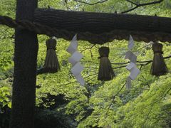 -野宫神社