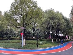 -桐乡植物园