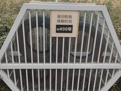 -眉山湿地公园(东坡区)