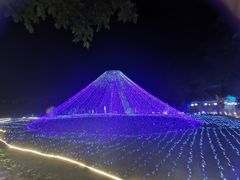 -光明农场大观园