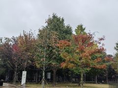 -瑞幸咖啡(巴黎春天陕西路店)
