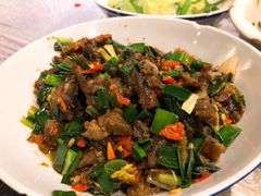 -壹盏灯(惠农店)