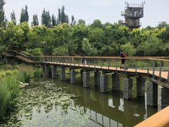 -东郊湿地公园