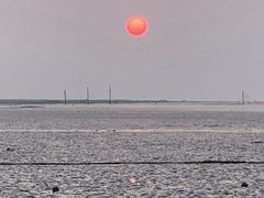 -南汇嘴观海公园