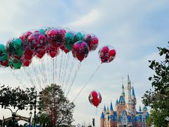 -上海迪士尼度假区