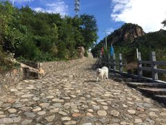 -大岭沟猕猴桃谷风景区