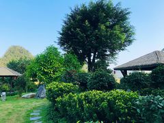 -英德宝晶宫天鹅湖茶语温泉
