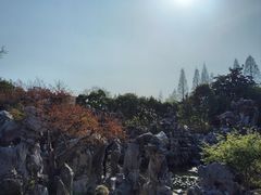 -清晏园