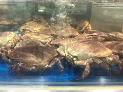 -盒马鲜生(莱蒙都会店)