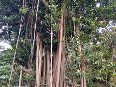 -人民公园(罗湖区)