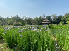 -广西壮族自治区药用植物园