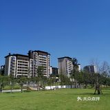 礼嘉龙湖两江新宸•云岭旁边公园陡坡上的美丽小花海！