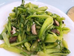 香菇青菜-金海湾海鲜排档(朱家尖店)