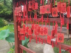 -江心屿景区
