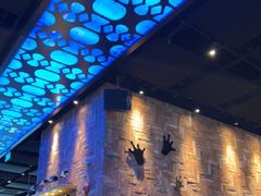 -bluefrog蓝蛙(皇庭广场店)