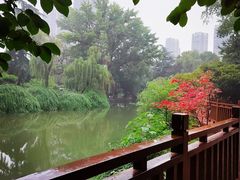 -西苑公园