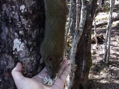 -碧塔海