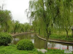 CIMG1720-苏州太湖西山岛开心农场