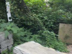 -普陀山风景名胜区-法雨禅寺
